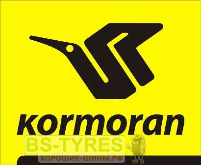 Kormoran