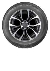 Autogreen Smart Chaser 205/55 R16 91V