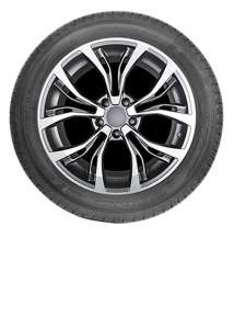 Autogreen Snow Chaser AW02 255/50 R19 107T