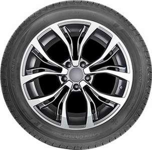Autogreen Snow Chaser AW02 215/60 R17 100T