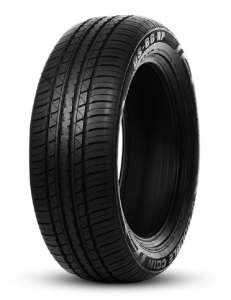 Doublecoin DS66 HP 225/55 R19 99V