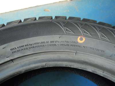 Goodride SW618 205/55 R16 91H