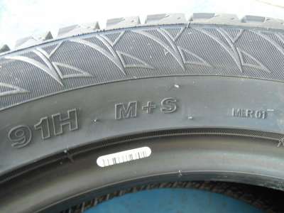 Goodride SW618 205/55 R16 91H