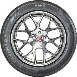 Delinte AW5 205/60 R16 96H