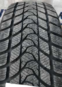 Delinte Winter WD1 275/40 R19 101H