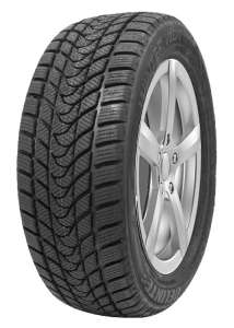 Delinte Winter WD1 275/40 R19 101H