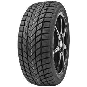 Delinte Winter WD6 225/55 R16 99V