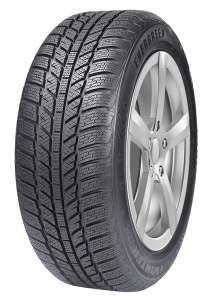 Evergreen Winter EW62 185/65 R15 92T