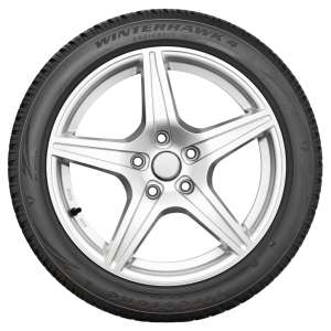 Firestone Winterhawk 4 255/45 R20 105V