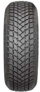 GT Radial Champiro WinterPro 2 205/55 R17 95H