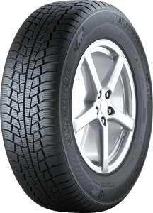 Gislaved Euro Frost 6 205/55 R16 91H