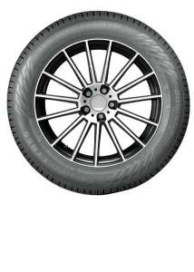 Nokian Tyres Hakkapeliitta R5 315/35 R21 111T