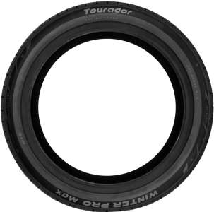 Tourador Winter Pro Max 255/50 R19 107V