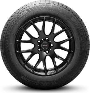 Windforce Catchfors H/T 275/65 R17 115H