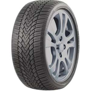 Roadmarch WinterXPro 888 225/40 R19 93V