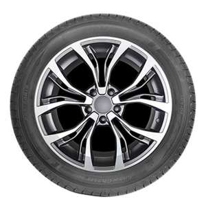 Autogreen Snow Chaser AW02 245/55 R19 103T