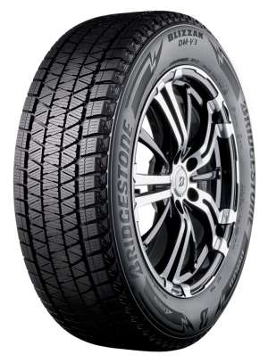 Bridgestone Blizzak DM-V3 265/45 R21 108T