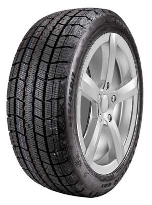 Centara Winter RX621 195/60 R15 88T