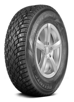 Delinte Winter WD42 245/45 R20 103H