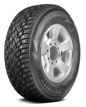 Delinte Winter WD42 245/45 R20 103H