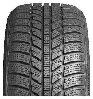 Evergreen Winter EW62 195/60 R15 88T