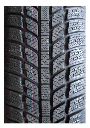 Evergreen Winter EW62 195/60 R15 88T