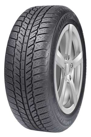 Evergreen Winter EW62 195/60 R15 88T