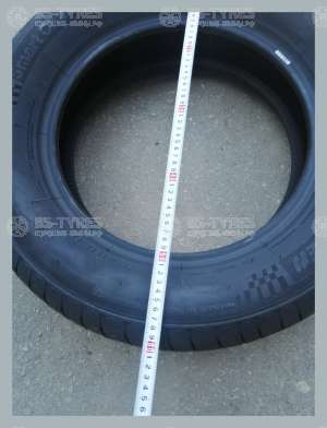 Autogreen Smart Chaser 195/65 R15 91V