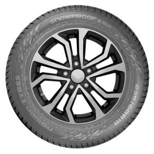 Michelin Latitude Alpin 255/50 R19 107H