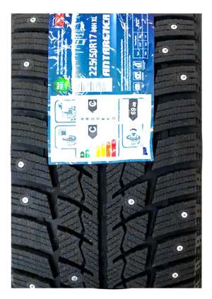 Pace Antarctica Ice 195/65 R15 95T