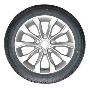 Royal Black Winter 265/45 R21 108V