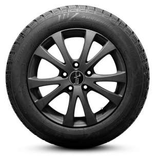 Windforce Snowblazer 195/65 R15 91H