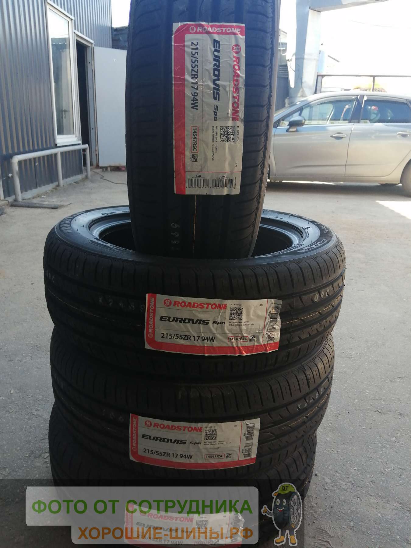 Roadstone Eurovis Sport 4 215/55 R17 94W купить в Мурманске, летняя шина -  цены в шинном центре BS-Tyres