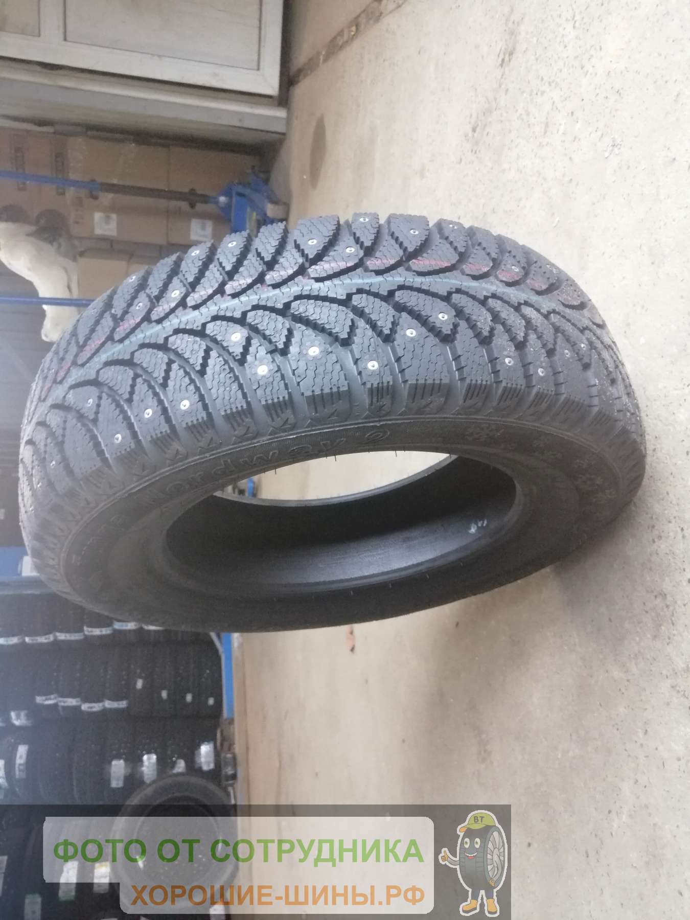 Tunga Nordway 2 185/65 R14 86Q купить в Москве, зимняя шина - цены в шинном  центре BS-Tyres