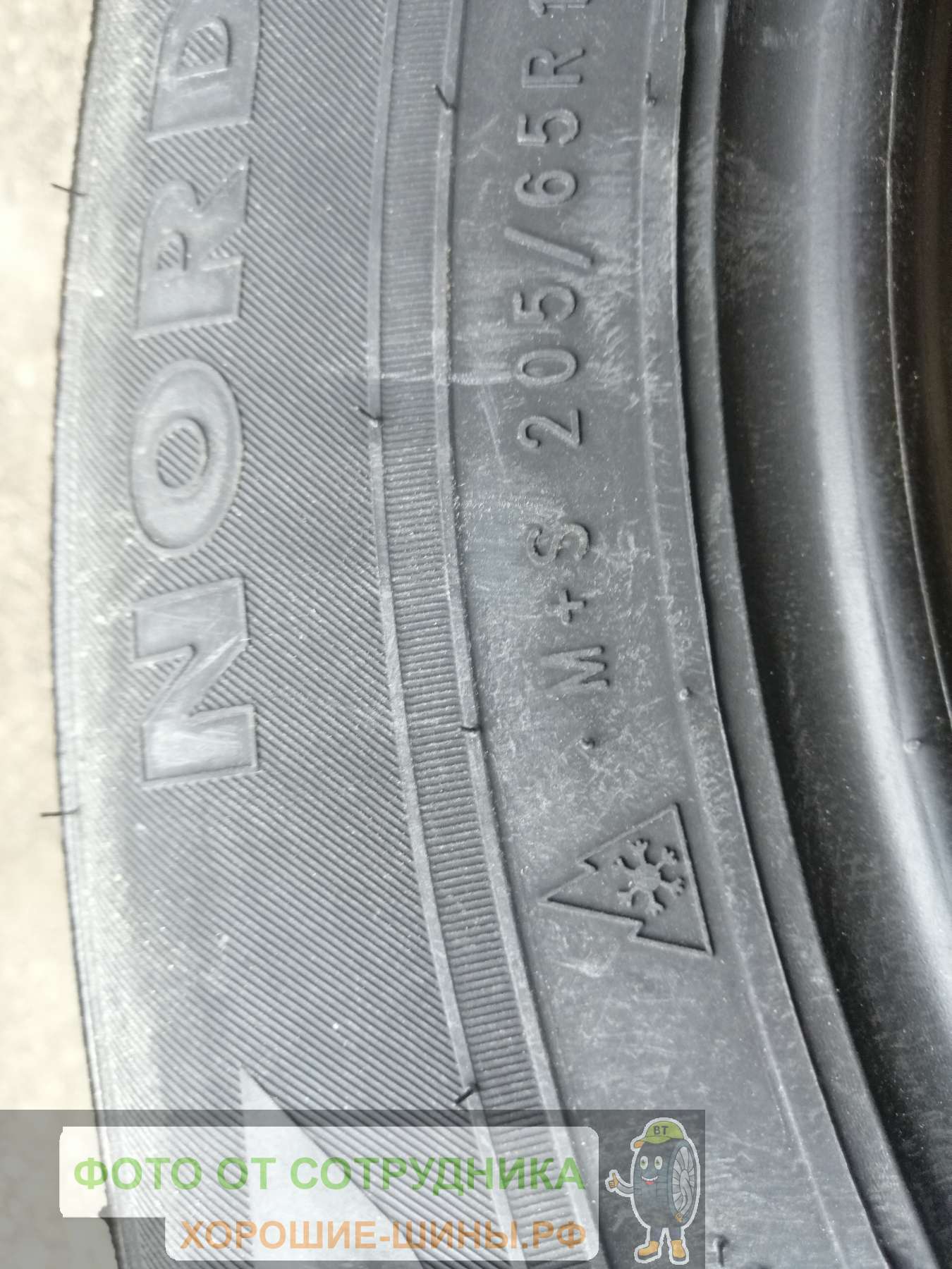 Nokian Tyres Nordman 7 205/65 R16 99T купить в Москве, зимняя шина - цены в  шинном центре BS-Tyres