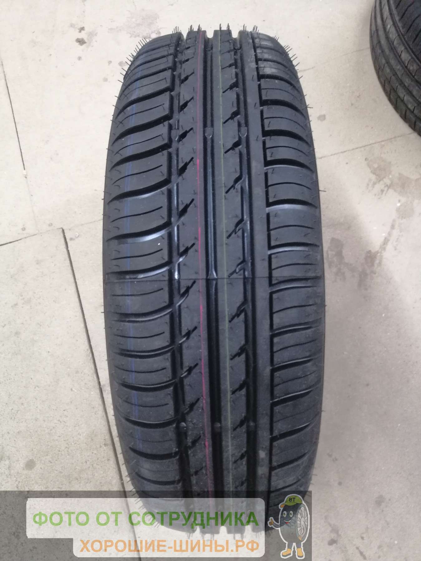 Belshina Artmotion 175/65 R14 82H купить в Москве, летняя шина - цены в  шинном центре BS-Tyres